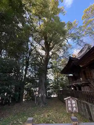 久礼八幡宮(高知県)