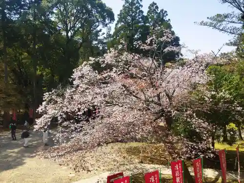 醍醐寺(京都府)