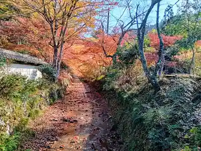 金剛院(京都府)