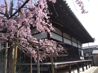 聞名寺(京都府)