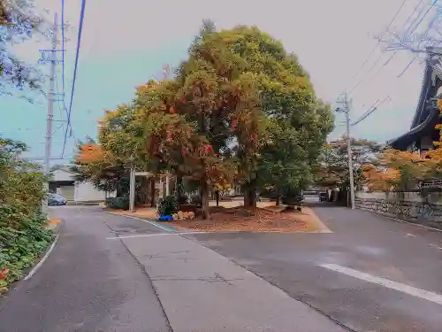 貴船社（大和町氏永）の自然