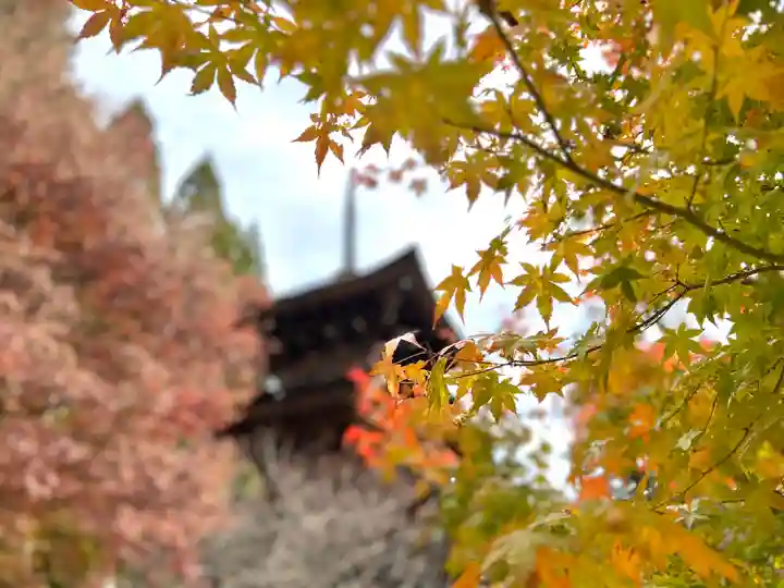 新海三社神社(長野県)