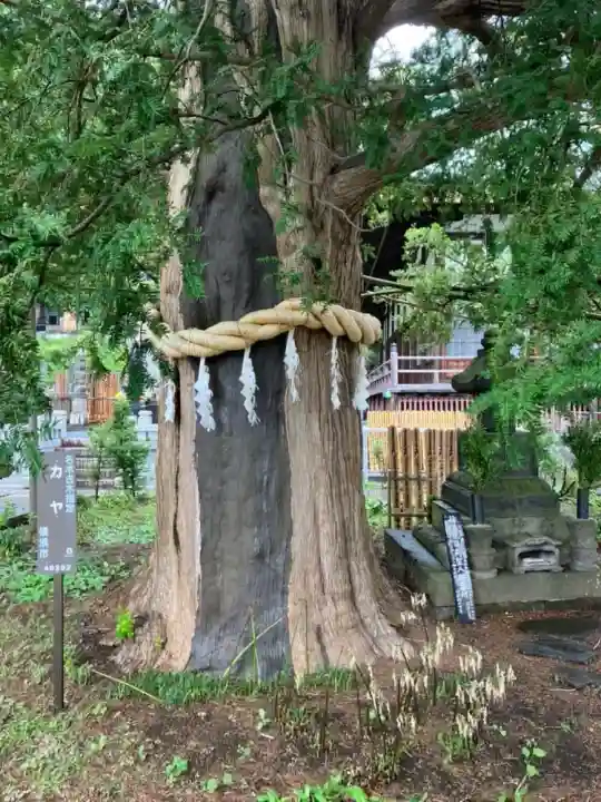 上行寺(神奈川県)