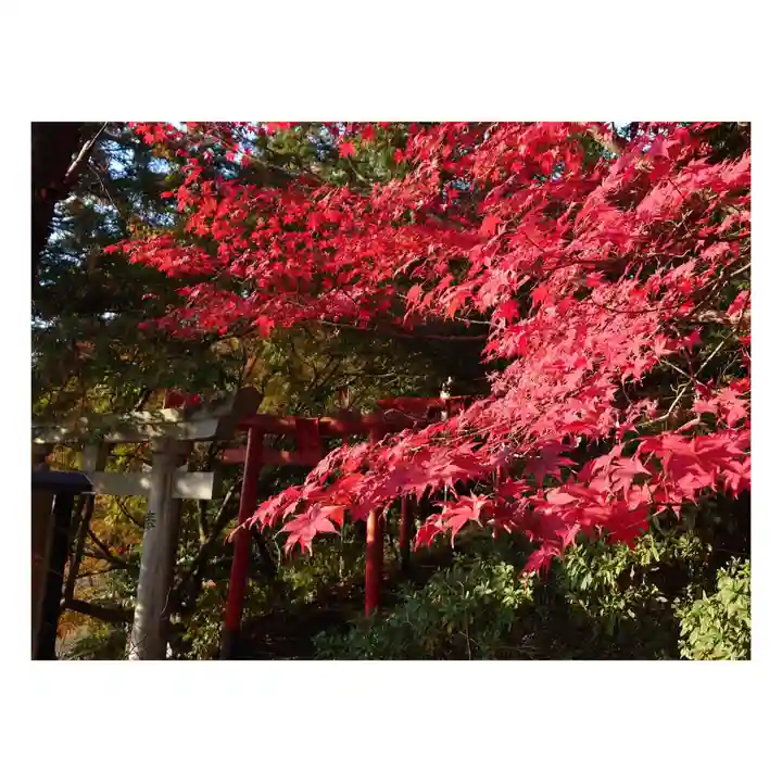 岐阜稲荷山本社(岐阜県)