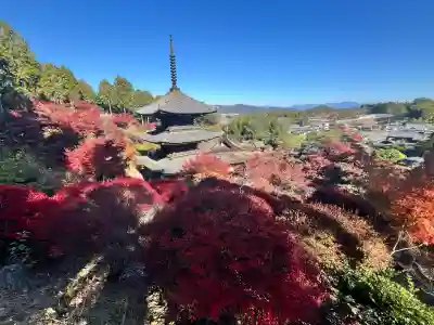 常樂寺(滋賀県)