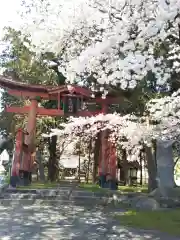 松尾神社の鳥居