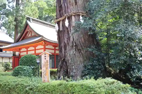 香取神宮のその他建物