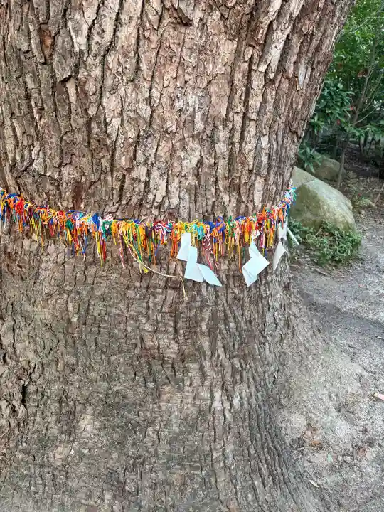 鳥飼八幡宮の{uncategorized: "未分類", other: "その他", undefined: "問題あり", building: "その他建物", grave: "お墓", sacred_gate: "鳥居", guardian: "狛犬", statue: "像", buddha: "仏像", history: "歴史", nature: "自然", garden: "庭園", animal: "動物", pagoda: "塔", temizu: "手水舎", mountain_gate: "山門・神門", sanctuary: "本殿・本堂", subordinate: "末社・摂社", art: "芸術", scenery: "景色", jizo: "地蔵", ema: "絵馬", goshuin: "御朱印", omikuji: "おみくじ", items: "授与品その他", amulet: "お守り", goshuincho: "御朱印帳", eats: "食事", festival: "お祭り", votive_dance: "神楽", shichigosan: "七五三参", wedding: "結婚式", experience: "体験その他", initially: "初詣", around: "周辺", anti_infection: "感染症対策"}
