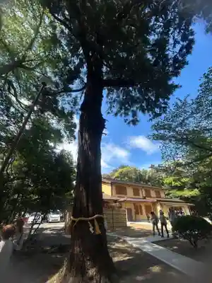 息栖神社(茨城県)