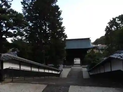 臨済寺(静岡県)