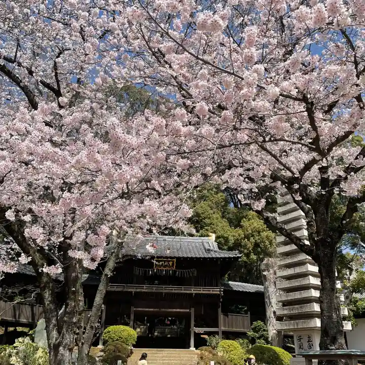 法華経寺の自然