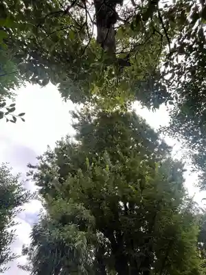 元郷氷川神社(埼玉県)