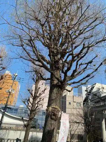 矢先稲荷神社(東京都)