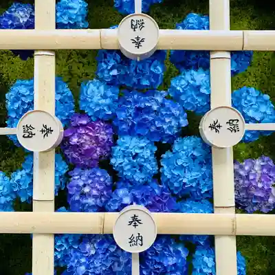 土津神社|こどもと出世の神さまの手水舎