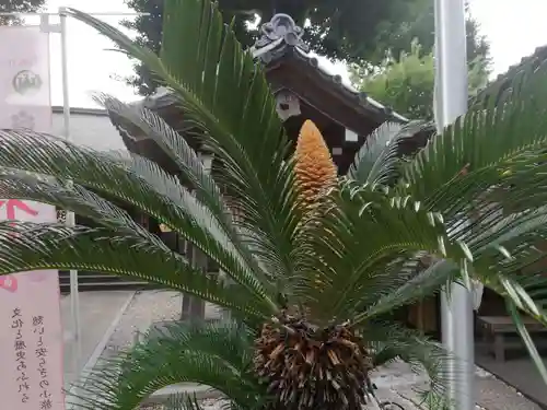 蛇窪神社の庭園