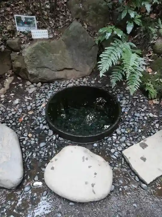 明治神宮の庭園