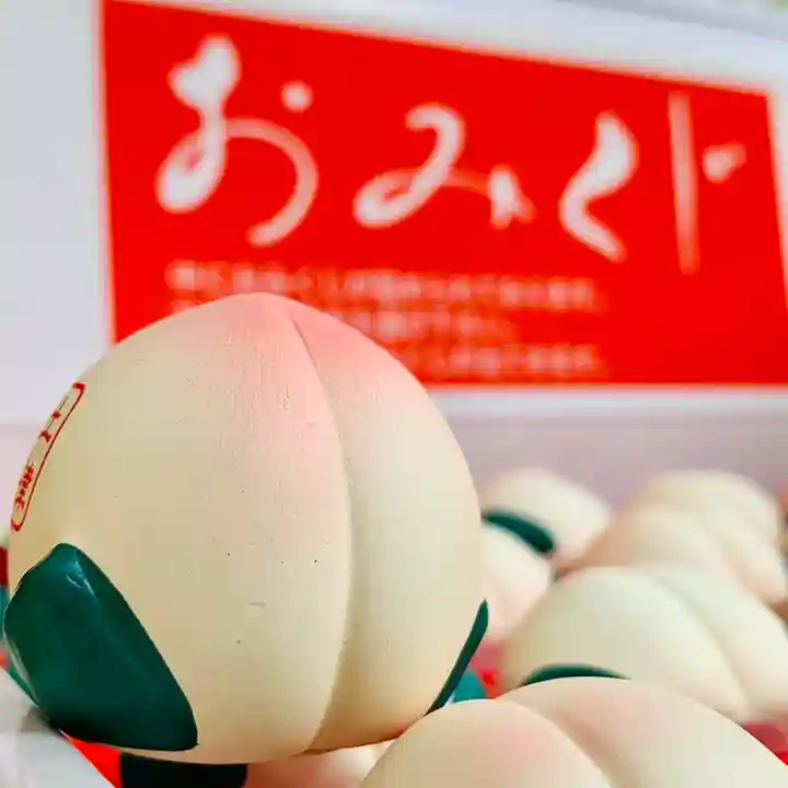 土津神社|こどもと出世の神さまのおみくじ