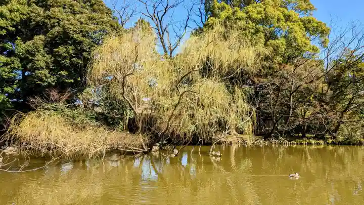 菊田神社の動物