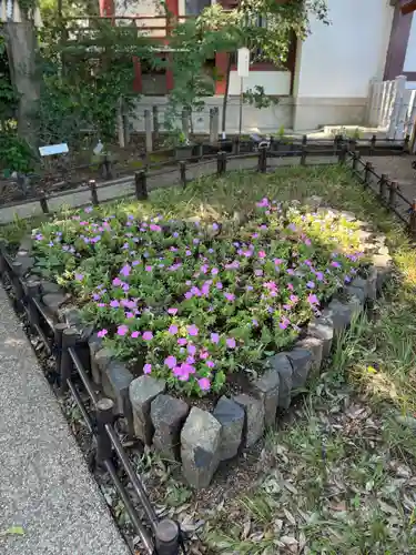 川越八幡宮(埼玉県)