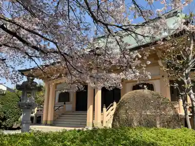 定方寺(神奈川県)