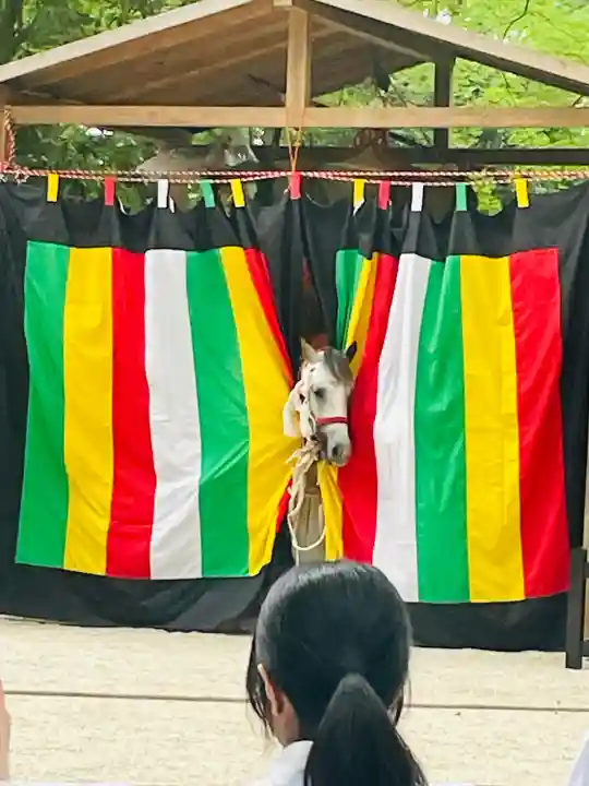 賀茂御祖神社(下鴨神社)(京都府)