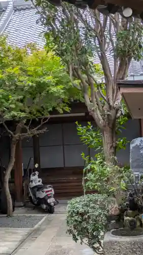 安楽寺(大阪府)