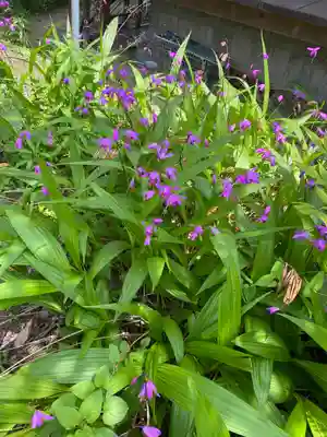 世尊寺(奈良県)