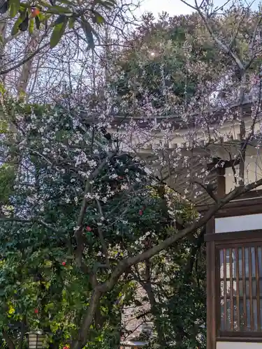 鳥越神社(東京都)