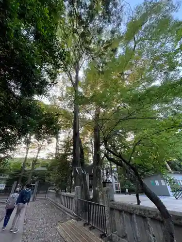 布多天神社の自然