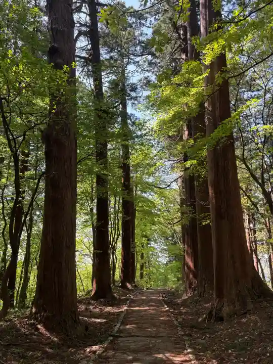羽黒山五重塔(出羽三山神社)(山形県)