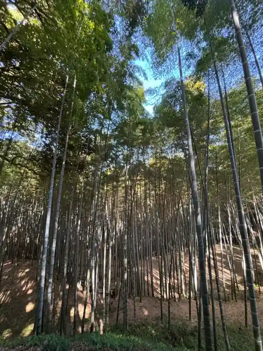 石清水八幡宮の{uncategorized: "未分類", other: "その他", undefined: "問題あり", building: "その他建物", grave: "お墓", sacred_gate: "鳥居", guardian: "狛犬", statue: "像", buddha: "仏像", history: "歴史", nature: "自然", garden: "庭園", animal: "動物", pagoda: "塔", temizu: "手水舎", mountain_gate: "山門・神門", sanctuary: "本殿・本堂", subordinate: "末社・摂社", art: "芸術", scenery: "景色", jizo: "地蔵", ema: "絵馬", goshuin: "御朱印", omikuji: "おみくじ", items: "授与品その他", amulet: "お守り", goshuincho: "御朱印帳", eats: "食事", festival: "お祭り", votive_dance: "神楽", shichigosan: "七五三参", wedding: "結婚式", experience: "体験その他", initially: "初詣", around: "周辺", anti_infection: "感染症対策"}