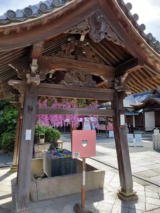 柳谷観音 楊谷寺(京都府)