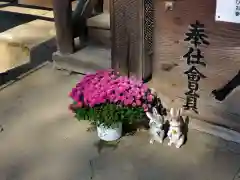 小泉神社(群馬県)