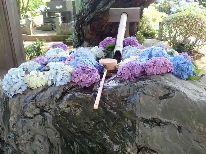 妙楽寺(神奈川県)