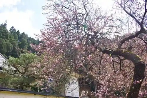 常燈寺の庭園