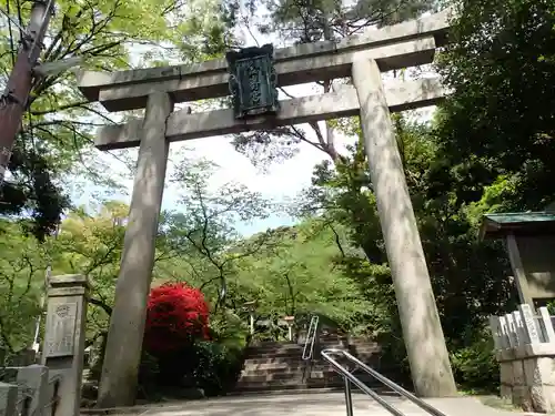 金崎宮の鳥居