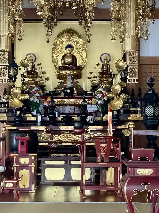 浄念寺の{uncategorized: "未分類", other: "その他", undefined: "問題あり", building: "その他建物", grave: "お墓", sacred_gate: "鳥居", guardian: "狛犬", statue: "像", buddha: "仏像", history: "歴史", nature: "自然", garden: "庭園", animal: "動物", pagoda: "塔", temizu: "手水舎", mountain_gate: "山門・神門", sanctuary: "本殿・本堂", subordinate: "末社・摂社", art: "芸術", scenery: "景色", jizo: "地蔵", ema: "絵馬", goshuin: "御朱印", omikuji: "おみくじ", items: "授与品その他", amulet: "お守り", goshuincho: "御朱印帳", eats: "食事", festival: "お祭り", votive_dance: "神楽", shichigosan: "七五三参", wedding: "結婚式", experience: "体験その他", initially: "初詣", around: "周辺", anti_infection: "感染症対策"}