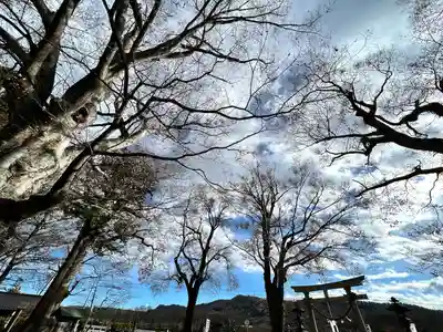 白鳥神社(長野県)