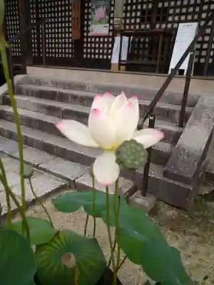 西大寺四王堂(奈良県)