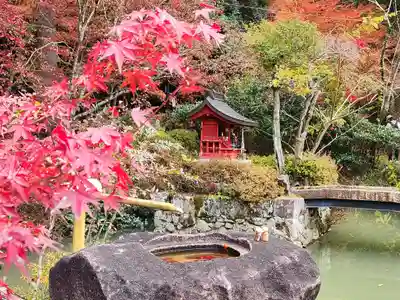 大国寺(兵庫県)