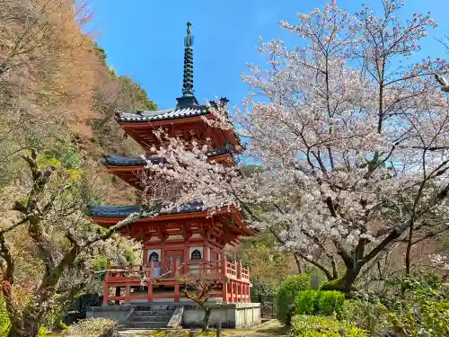 三室戸寺の塔