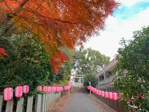 中氷川神社(埼玉県)