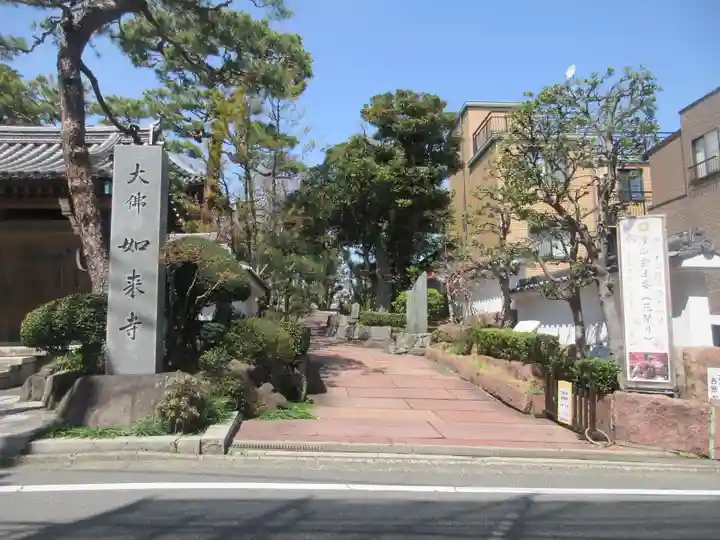 養玉院如来寺(東京都)
