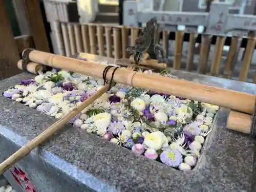 高円寺氷川神社の手水