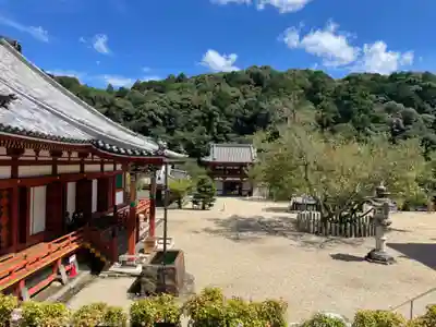金剛寺(大阪府)