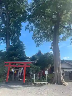 神館飯野高市本多神社(三重県)