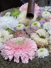 行田八幡神社の手水