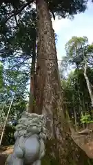 白藤神社の自然