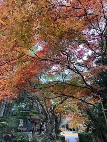 花山院菩提寺(兵庫県)