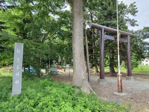 智恵文神社の建物その他